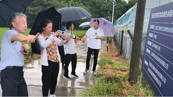 無錫市農業技術推廣中心、錫山區農業技術推廣站、錫山區鵝湖鎮農業科領導一行到無錫三新村芯生機綠色水稻種植技術試驗基地考察指導