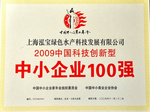 泓寶-2009年中國科技創(chuàng)新型中小企業(yè)100強(qiáng)